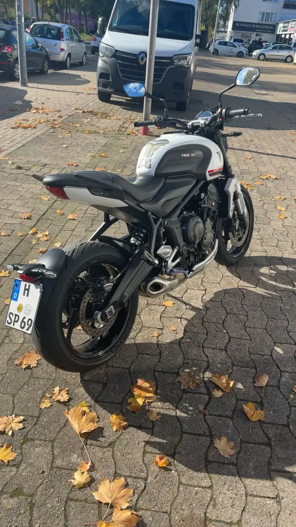 Triumph Trident 660 2. Hand Blanc - 2