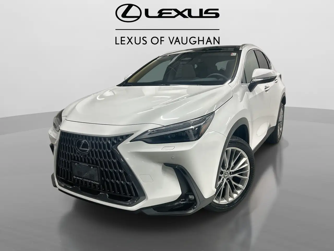 2026 Lexus NX