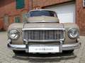 Volvo PV 544 Buckelvolvo in Dammhirsch-braun! Braun - thumbnail 2