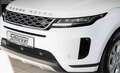 Land Rover Range Rover Evoque P300e Plug-in Hybrid S Navi Leder ACC Panoramadach Weiß - thumbnail 2
