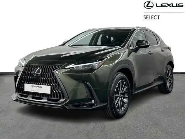 Lexus NX 350h Executive Line + HUD