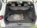 Renault Kadjar 1.6 dCi 130ch energy Intens Blanc - thumbnail 13