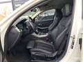 BMW 318 d Advantage - ASSISTS - SENSATEC - LC PRO Blanc - thumbnail 13