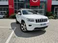 Jeep Grand Cherokee 3.0 V6 CRD 250cv Limited Auto 2080616 Blanc - thumbnail 2