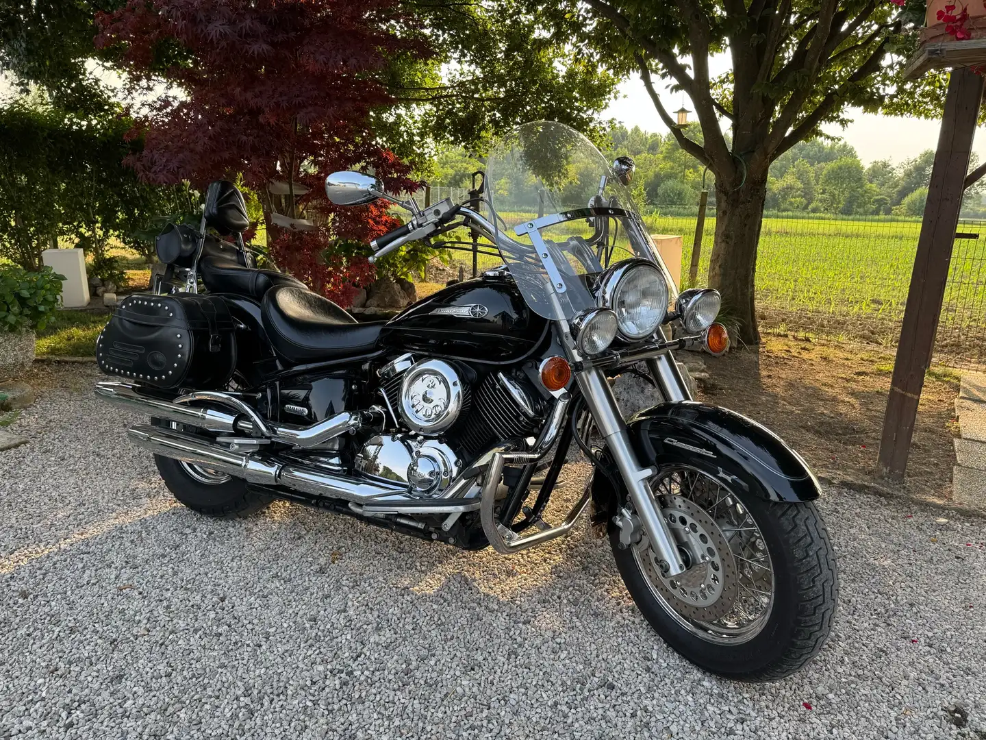 Yamaha XVS 1100 Classic Blu/Azzurro - 1