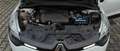 Renault Clio Sporter 1.2 Wave Benz.GPL NeopatentatiOK Blanc - thumbnail 15