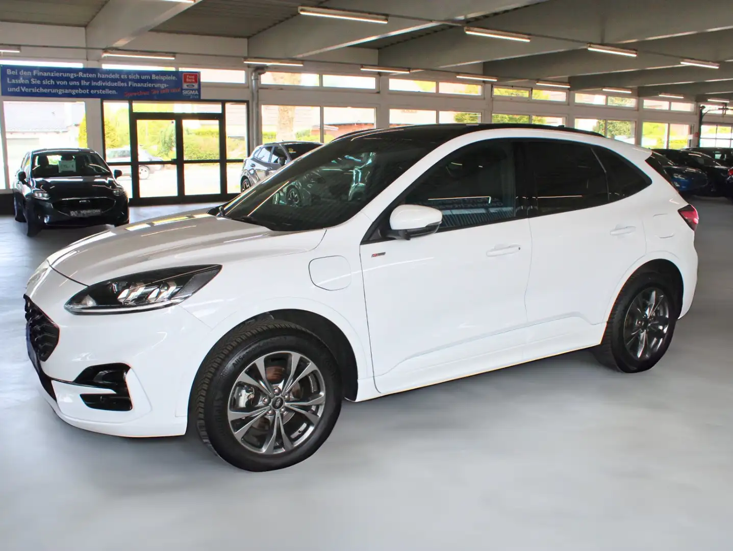 Ford Kuga 2.5 PHEV ST-LINE Aut. LED Panodach WinterPaket Bianco - 2