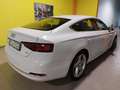 Audi A5 A5 SPORTBACK 40 2.0 TDI 190CV S-TRONIC  S-LINE Bianco - thumbnail 7