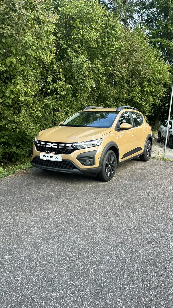 Dacia Sandero Stepway Expression Beige - 1