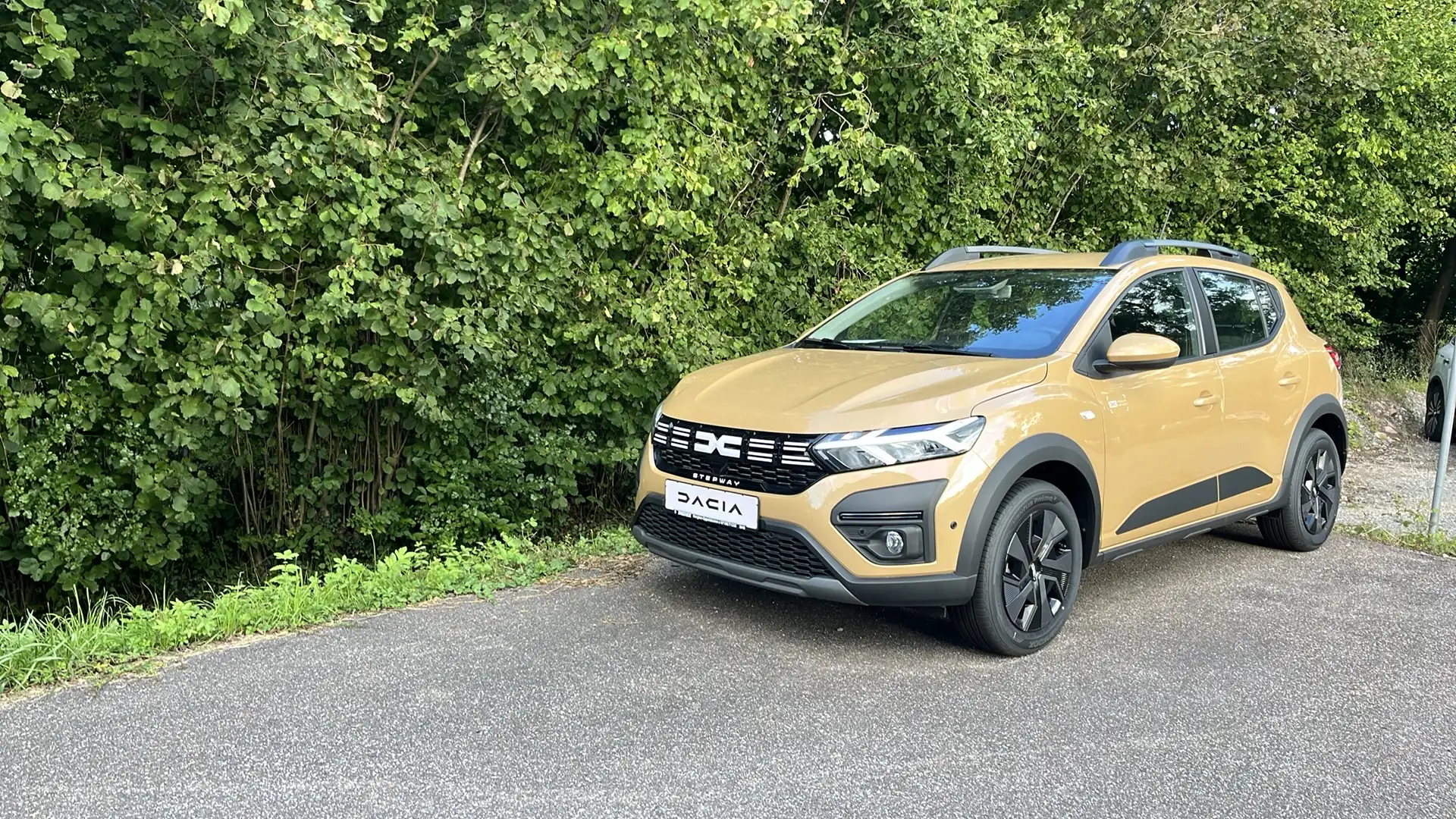 Dacia Sandero Stepway Expression Beige - 2