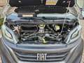Fiat Ducato 33 2.2 Mjt 140CV PC-TN Combi 9 POSTI Blanco - thumbnail 17