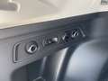Subaru Forester OFFROAD Paket AHK Allterrain Räder Unterfahrschutz Grün - thumbnail 22