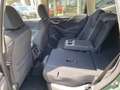 Subaru Forester OFFROAD Paket AHK Allterrain Räder Unterfahrschutz Grün - thumbnail 18