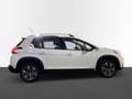 Peugeot 2008 PureTech 110 GPF Stop&Start EAT6 Allure Weiß - thumbnail 5