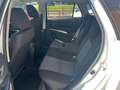 Suzuki S-Cross S-Cross 1.4 Hybrid 4WD AllGrip Top+ Bianco - thumbnail 15