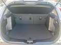 Suzuki S-Cross S-Cross 1.4 Hybrid 4WD AllGrip Top+ Bianco - thumbnail 10