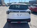 Suzuki S-Cross S-Cross 1.4 Hybrid 4WD AllGrip Top+ Bianco - thumbnail 8