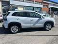 Suzuki S-Cross S-Cross 1.4 Hybrid 4WD AllGrip Top+ Bianco - thumbnail 5