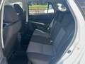 Suzuki S-Cross S-Cross 1.4 Hybrid 4WD AllGrip Top+ Bianco - thumbnail 16