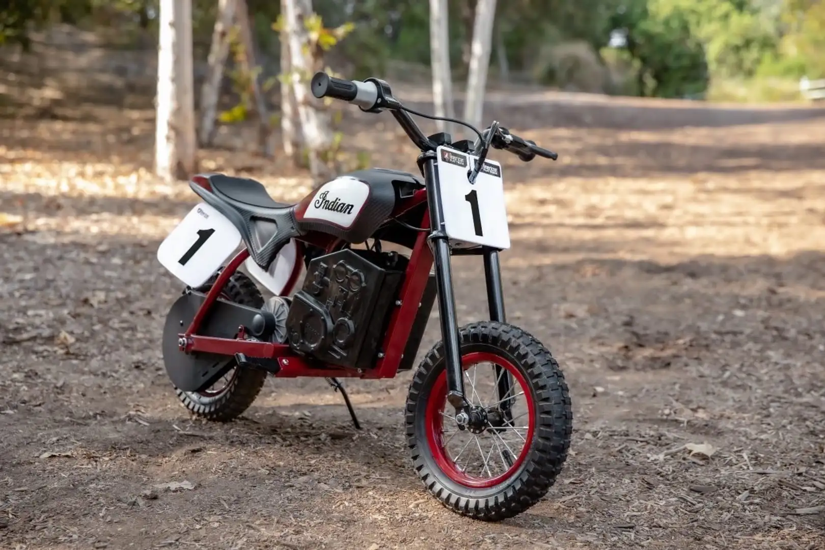 Indian FTR 1200 Mini eFTR Sonderpreis Rosso - 1