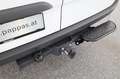Mercedes-Benz Sprinter 319 CDI Kasten PRO Hochdach 3665 Aut. Weiß - thumbnail 23