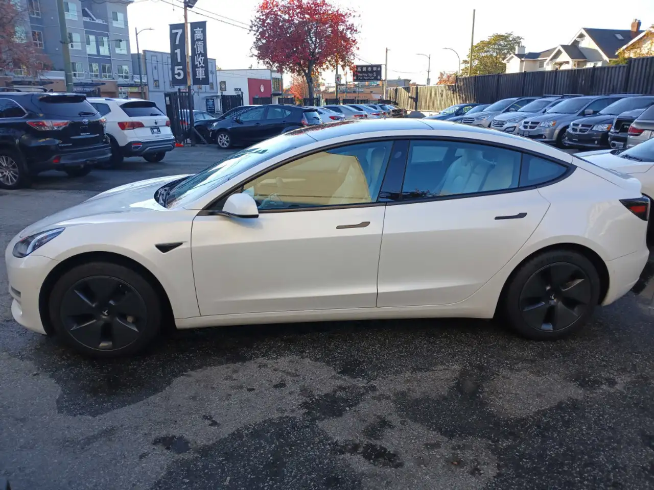 Tesla Model 3 снимка Tesla Model 3