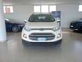 Ford EcoSport EcoSport 2014 1.5 tdci Business 95cv E6 Bianco - thumbnail 5
