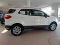 Ford EcoSport EcoSport 2014 1.5 tdci Business 95cv E6 Bianco - thumbnail 2
