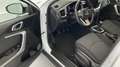 Kia XCeed 1.0 T-GDi Drive Bianco - thumbnail 12