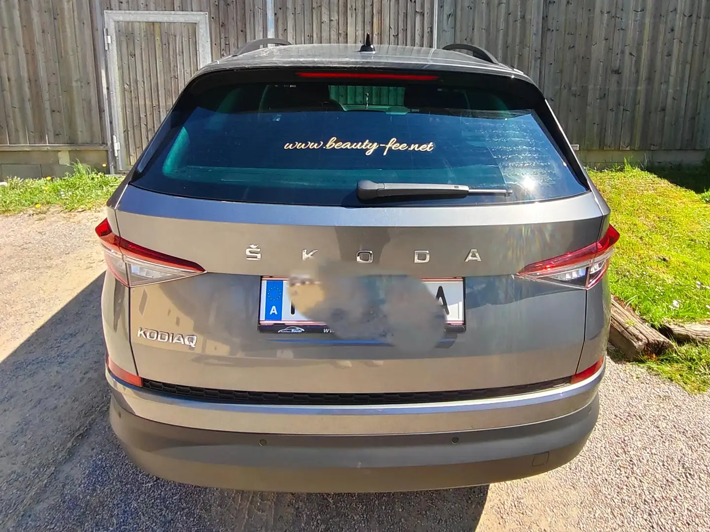 Skoda Kodiaq Kodiaq 1,5 TSI ACT Ambition Ambition Grau - 2