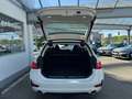 BMW 320 d xDrive Touring Sport Line 2 JAHRE GARANTIE Weiß - thumbnail 5