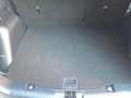 Ford Kuga ST-Line 2.5 Duratec FHEV 140kW Auto Bianco - thumbnail 13