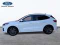 Ford Kuga ST-Line 2.5 Duratec FHEV 140kW Auto Bianco - thumbnail 3