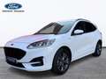 Ford Kuga ST-Line 2.5 Duratec FHEV 140kW Auto Bianco - thumbnail 1