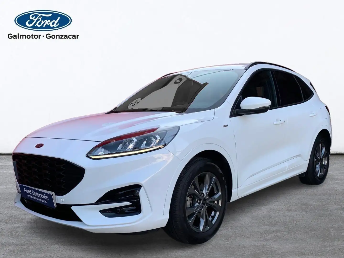 Ford Kuga ST-Line 2.5 Duratec FHEV 140kW Auto Bianco - 1