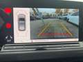 Volkswagen Golf GTI Golf VIII 2.0 TSI DSG GTI Navi R-Kam LED SHZ PDC Grau - thumbnail 12