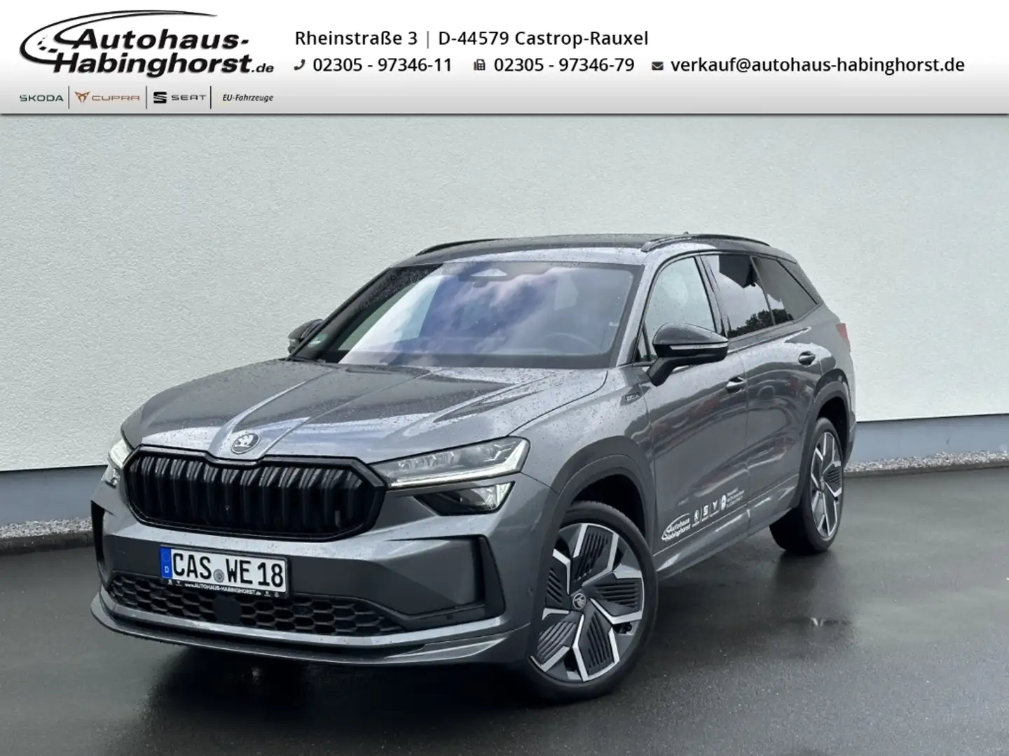 Skoda Kodiaq II 2.0 TDI DSG 4x4 Sportline 360 Standhzg  AHK Hea Grau - 1