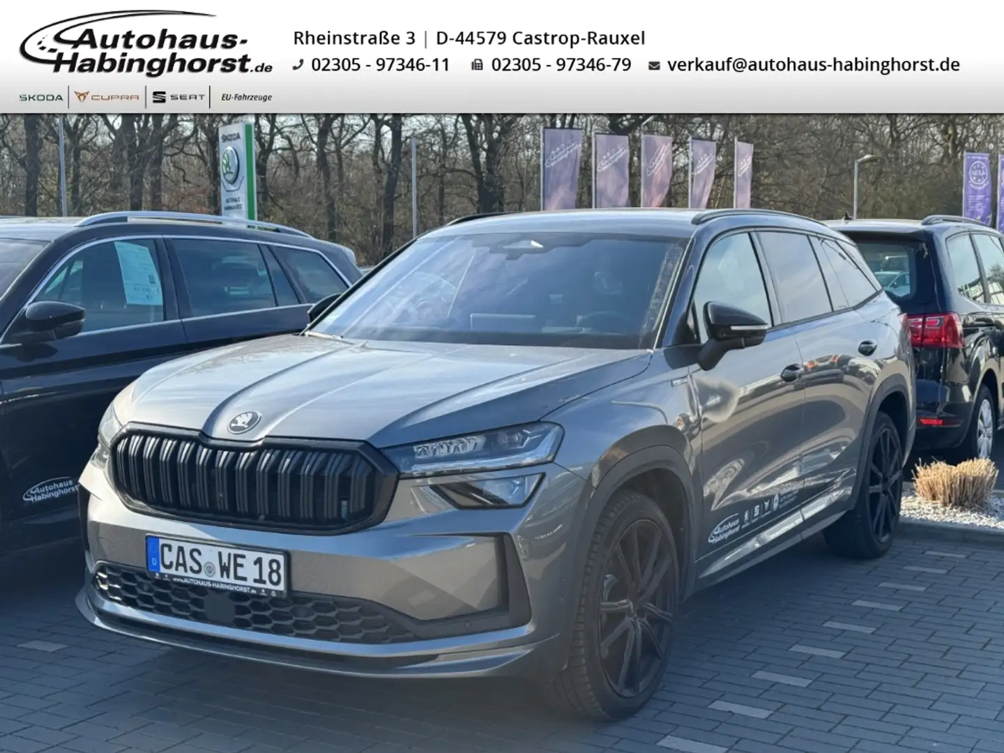 Skoda Kodiaq II 2.0 TDI DSG 4x4 Sportline 360 Standhzg  AHK Hea Grau - 1