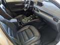 Mazda CX-5 2.2l Sports-Plus AWD Nappaleder AHK Bose Weiß - thumbnail 10