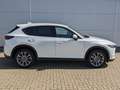 Mazda CX-5 2.2l Sports-Plus AWD Nappaleder AHK Bose Weiß - thumbnail 5