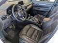 Mazda CX-5 2.2l Sports-Plus AWD Nappaleder AHK Bose Weiß - thumbnail 11