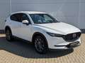 Mazda CX-5 2.2l Sports-Plus AWD Nappaleder AHK Bose Weiß - thumbnail 3