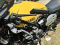 Yamaha XJR 1300 60th Anniversary Racer Žlutá - thumbnail 2