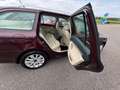 Skoda Octavia Combi Elegance NUR Gewerbeverkauf - thumbnail 12