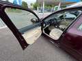 Skoda Octavia Combi Elegance NUR Gewerbeverkauf - thumbnail 9