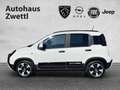 Fiat Panda /Pandina Cross Look Hybrid 70 Weiß - thumbnail 3