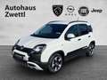 Fiat Panda Pandina Cross Look MHEV 70 Weiß - thumbnail 1