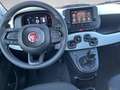 Fiat Panda /Pandina Cross Look Hybrid 70 Weiß - thumbnail 14
