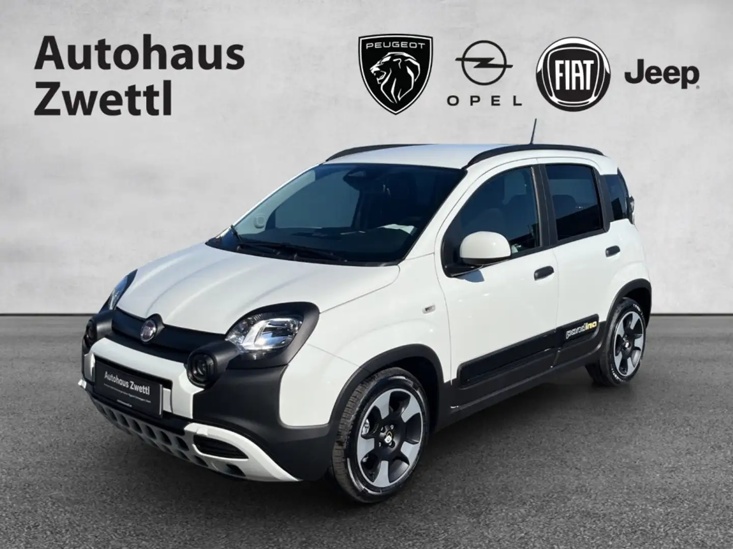 Fiat Panda /Pandina Cross Look Hybrid 70 Weiß - 1