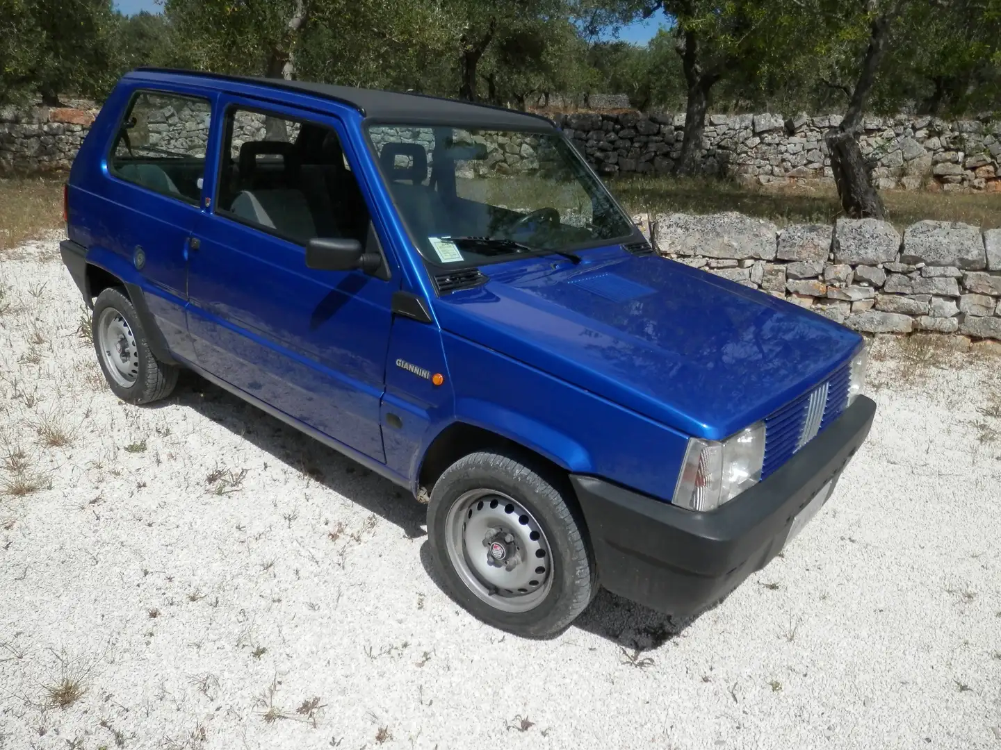 Fiat Panda Panda 750 S Giannini Bleu - 1